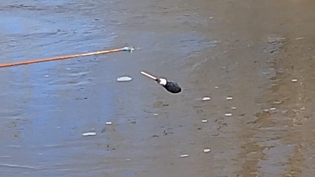 1 часть рыбачу на поплавок на донку на речке в деревне 🎣