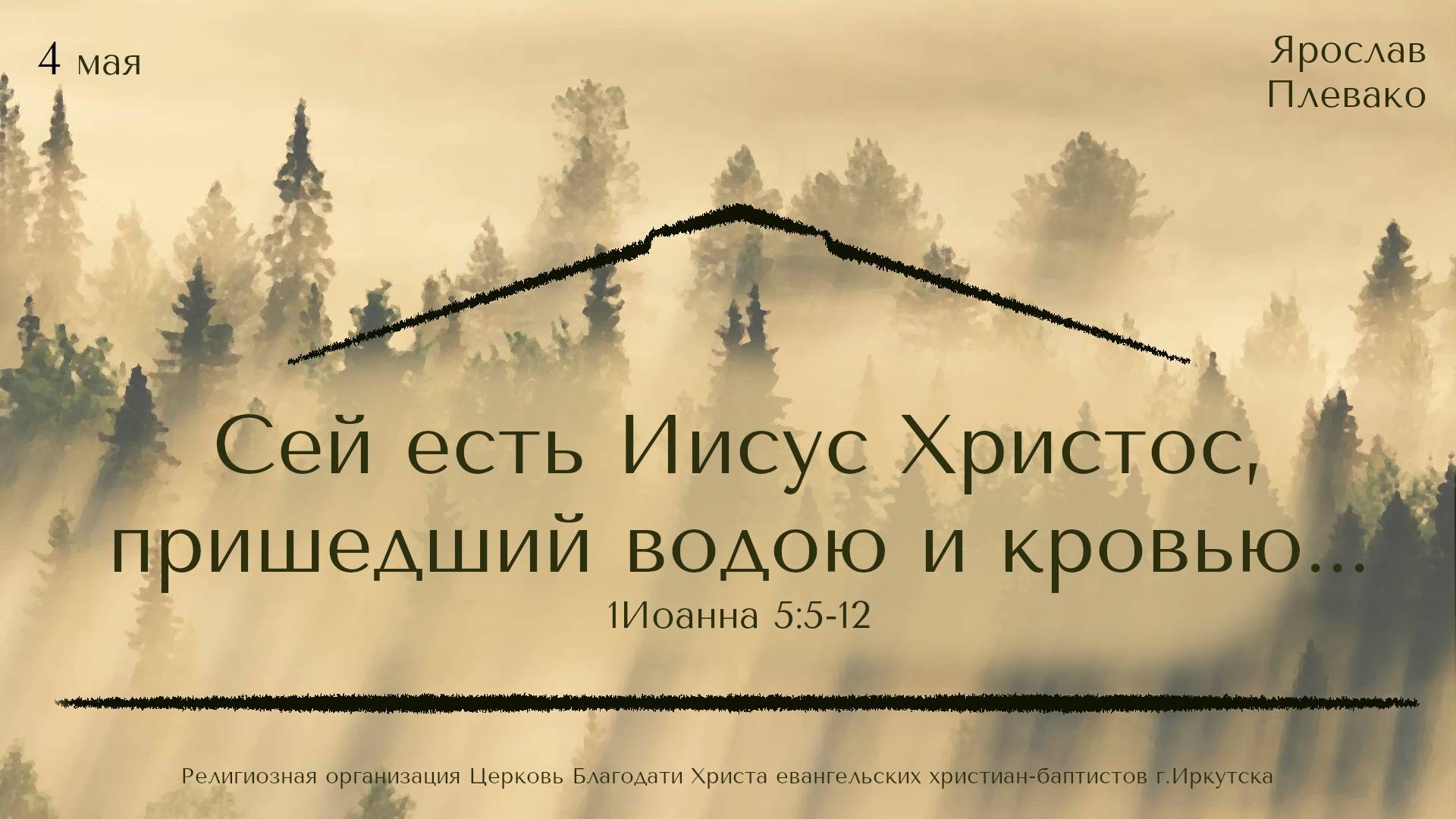 04.05.2025 Ярослав Плевако "Сей есть Иисус Христос, пришедший водою и кровью..."