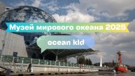 Музей мирового океана и центр Калининграда 🌍 Атмосфера и городские виды
