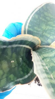 InShot_20250504_164923003.mp4