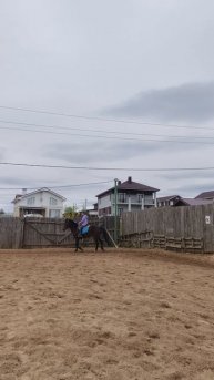 Ульяна на Аквилоне, рысим на плацу.