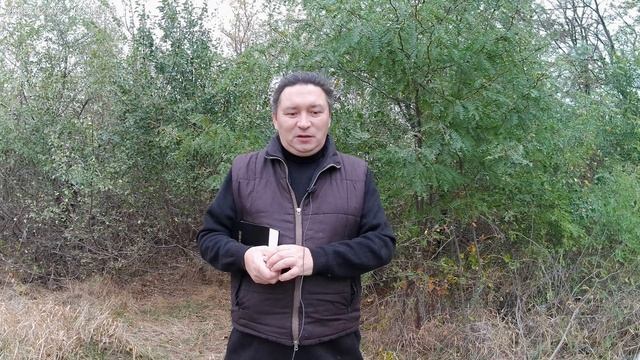 Двоедушие