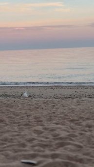 Азовское море! Май 2025г