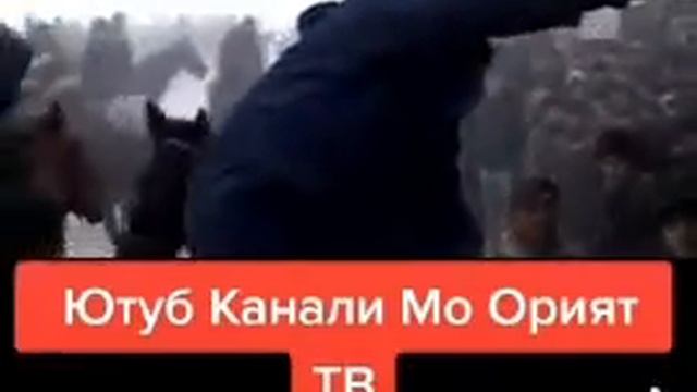 10 февраля 2023 г.