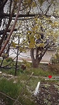 а вы так умеете?