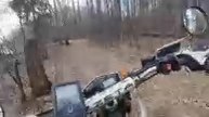 По лесу 48
