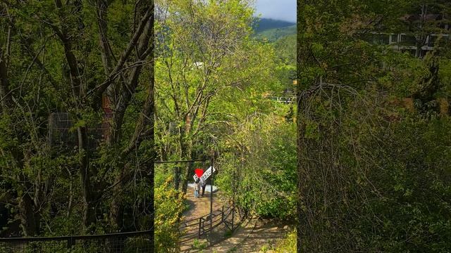 Зоопарк Океанаримум Поляна сказок Ялта