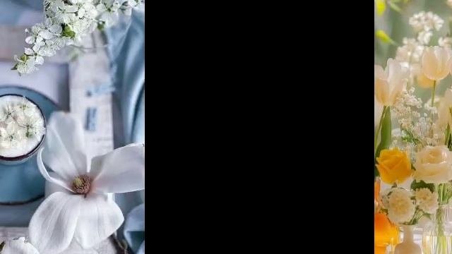 Beautiful Spring.mp4
