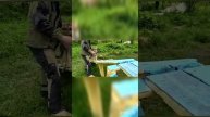 Учимся ползать и зодить по мостику
