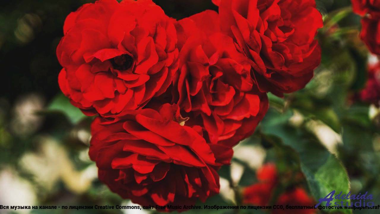 ❤❤❤ Трек, который заставит двигаться - Your Move -- BoDleasons -- Legacy, Vol. 2.mp4