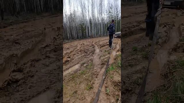 1000029223.mp4