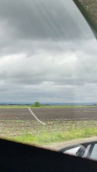 Кубань. Начало мая