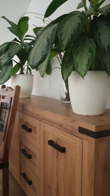 Милая, уютная кофейня «София» с видом на Кремль находится в колокольне храма Софии Премудрости Божие