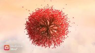 111 Hz Глубокое Расслабление Духовное Пробуждение КОРНЕВАЯ ЧАКРА Частотное Исцеление