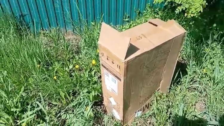 Мама и её щенки подброшены в коробке к забору