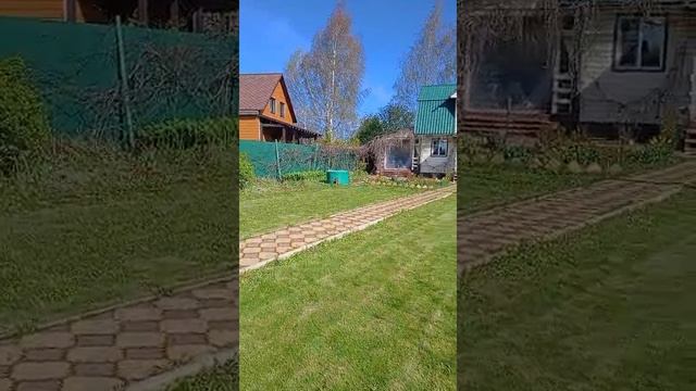 1000041681.mp4