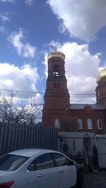 Алиса на звон колоколов.