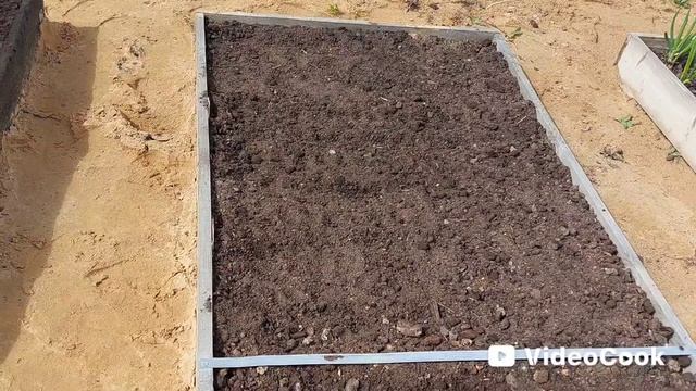 Наши 8,4 сотки 🏡Посеяла морковь.🥕 Сняла укрытия у роз🌹Распускаются тюльпаны 🌷