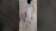 Кусака52 и мухаед52