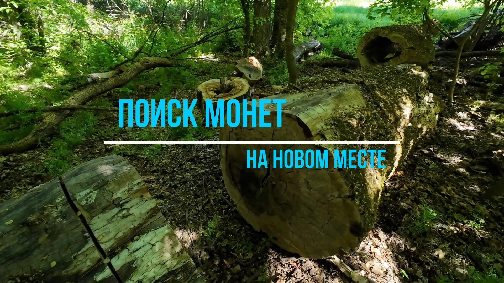 С металлоискателем на новом месте.