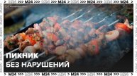 Москвичам рассказали, как устроить пикник с шашлыками без нарушений - Москва 24