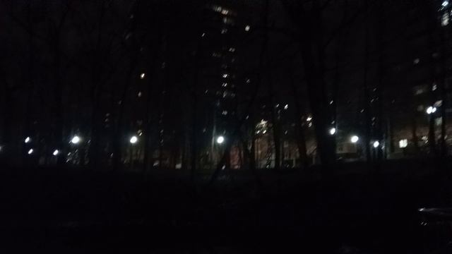 Влог / Прогулка, вечернее рисование / 08.04.2025