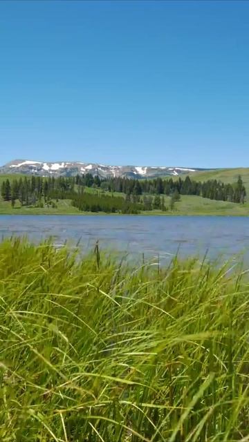 Природная Красота Спокойствие Дзен