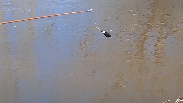 2 часть рыбачу на поплавок на донку на речке в деревне 🎣
