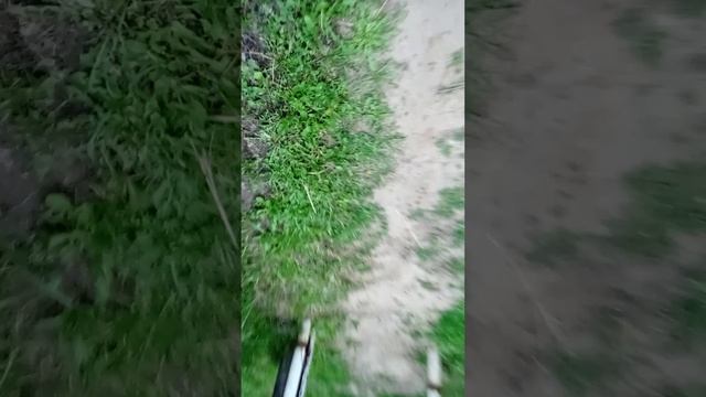 еду за грибами (3часть)