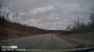 Перегон Владивосток - Омск , встреча с медведями )