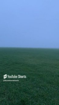 …хоть на заставку на фон ставь #туман #поле #природа #трава#лес #forest #nature #naturelovers #fog