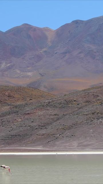 Вдохновение Природы Музыка для Дзен и Расслабления