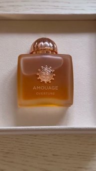 Amouage Overture Woman