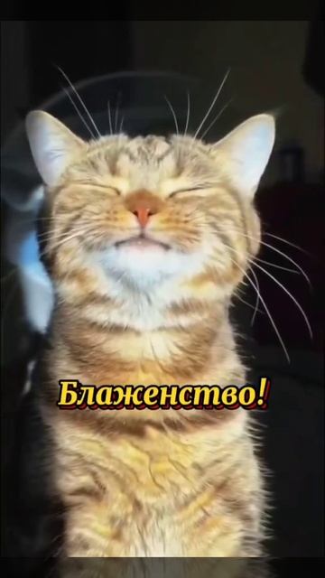 VID-20250504-WA0007