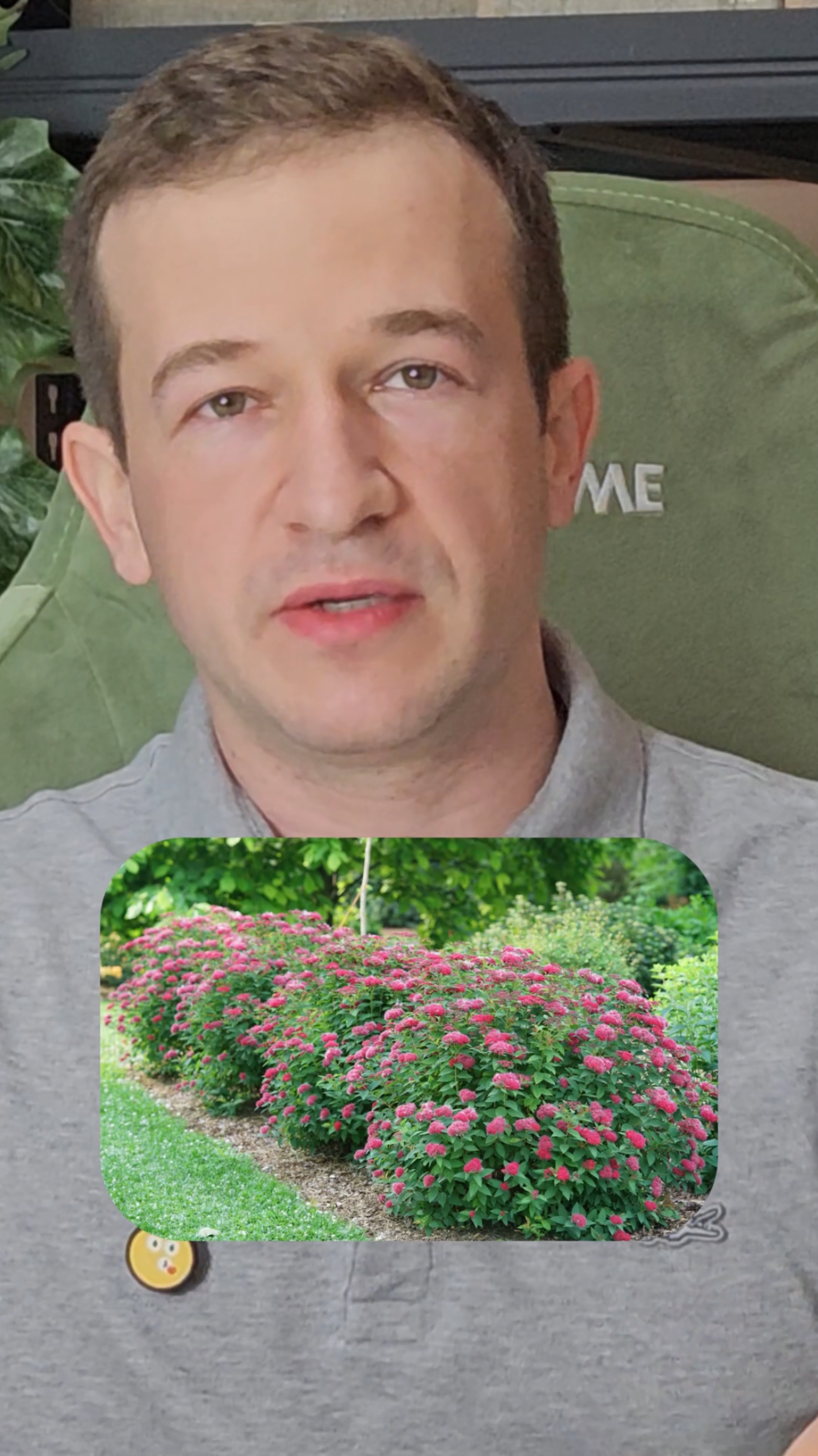 Обрезка декоративных растений
#гринэра #ильямазиров #ландшафтныйдизайн #сад#дача #обрезка