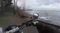 По лесу 49