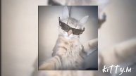ФОНКИ СЛУШАТЬ ДЛЯ ВАЙБА
hot playlist to boost your confidence💫+ Timestamps❗