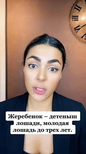 Клип сообщества Персидский фуд-блоггер с русской душой ФАН