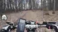 По лесу 45