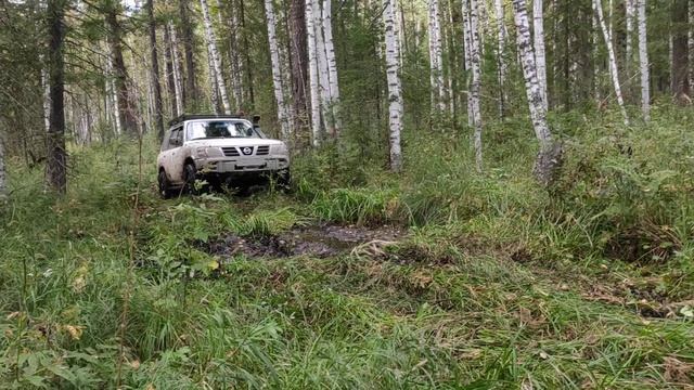 Приключения Патруля, застрял VID_20230902_171840