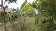 Птицы в Винперл Фукуок сафари парк (Vinpearl Safari Phu Quoc) _ часть 4