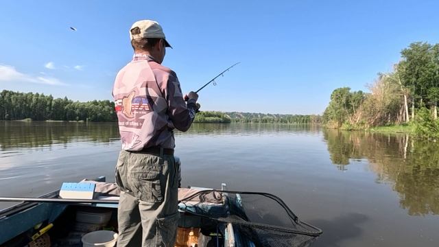 Утро удалось. Судак на каждой проводке.