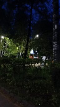 Прогулка по парку