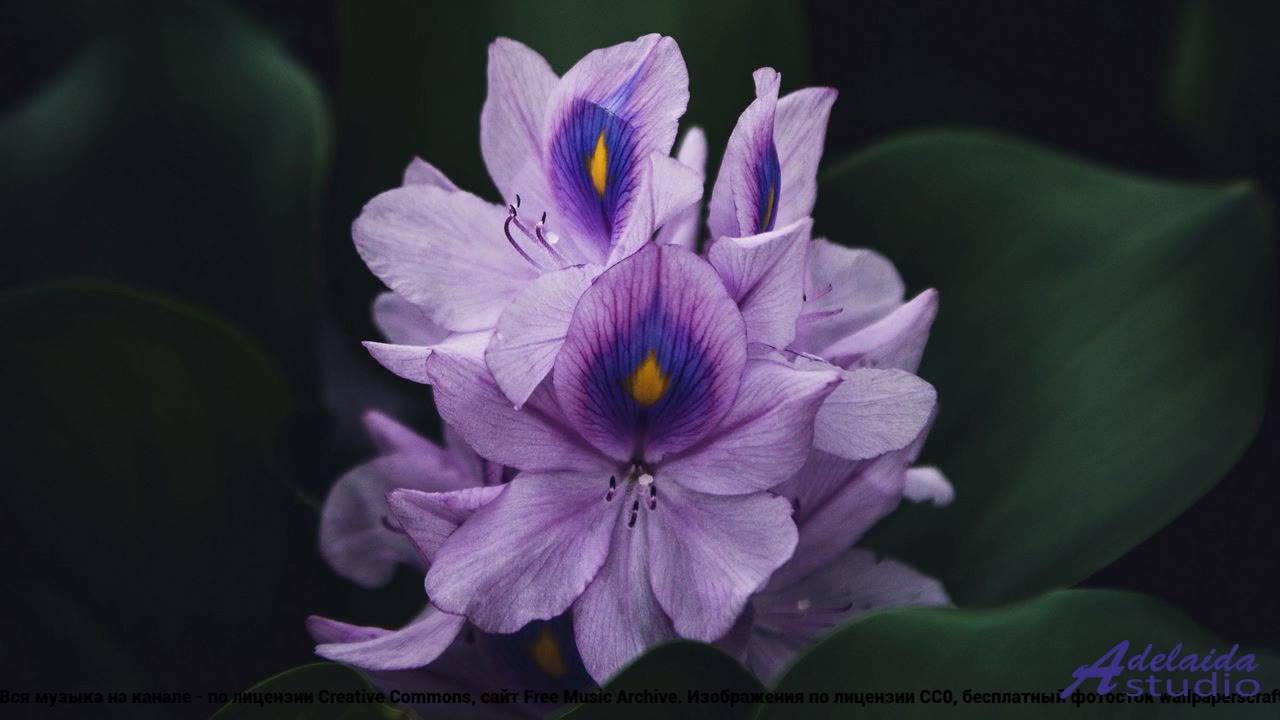 ❤ ❤ ❤ Трек, который заведет любого - Grand Ouvert -- LEsprit dSfign -- Grand Ouvert.mp4