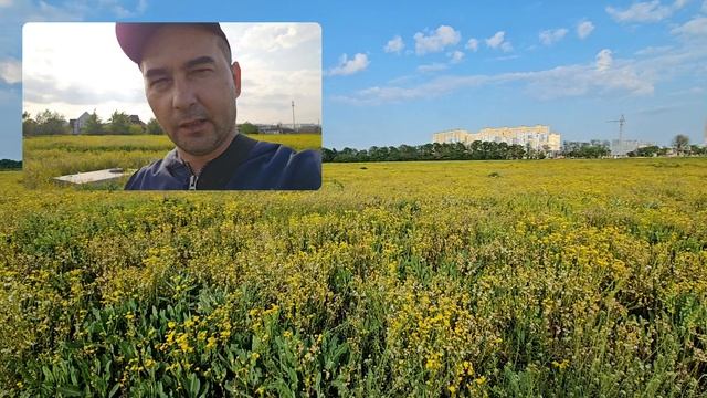 ШИМ или как с ним бороться