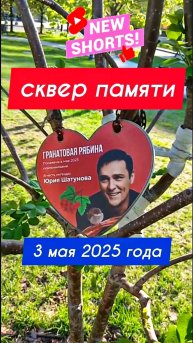 живые легенды Ласкового мая в сквере памяти на цветном бульваре