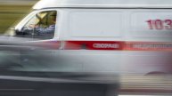 Два сбежавших коня сбили семилетнюю девочку в Новокузнецке