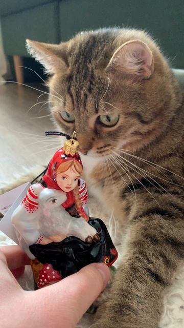 Котики и елочные игрушки