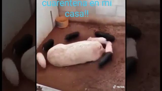 #хахаха #юморист #юморсегодня #приколышутки #юморвсетях