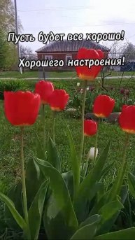Доброе утро☀ 🌝⏰